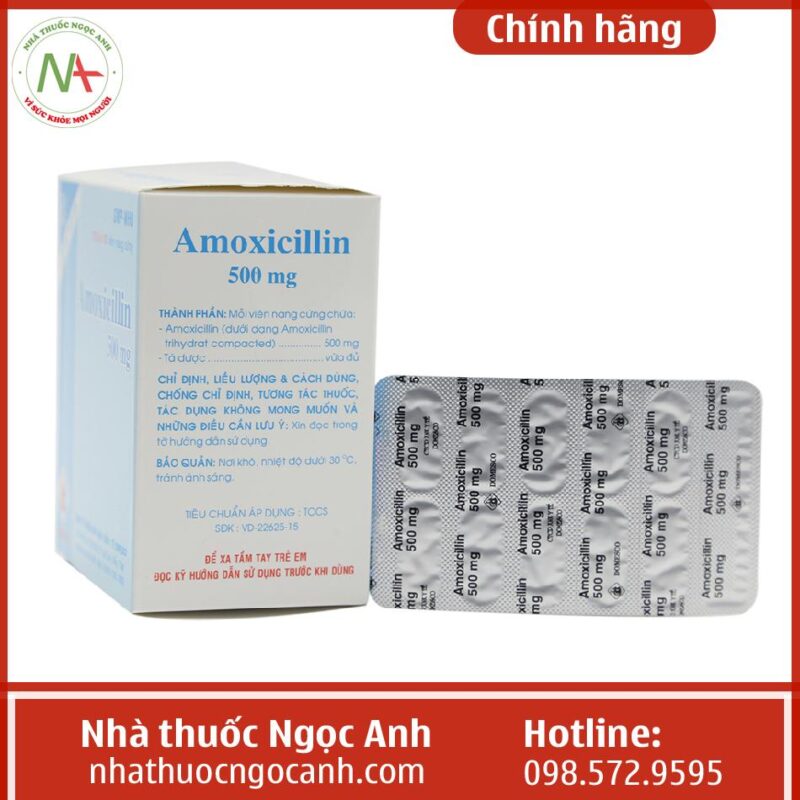 Thu C Amoxicillin Mg Domesco L Thu C G Gi Bao Nhi U Mua U