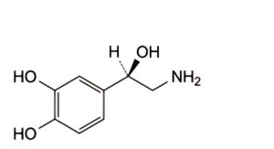 Adrenaline / Epinephrine