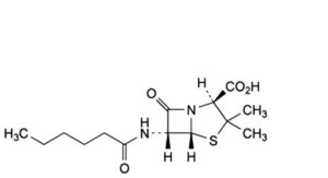 Benzylpenicillin (Procaine) Monohydrate