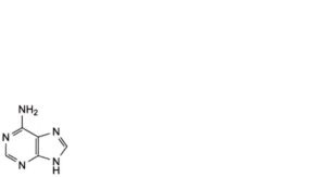 Adenosine