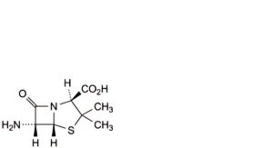 Bacampicillin Hydrochloride