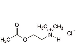 Acetylcholine Chloride