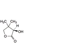 Calcium Pantothenate