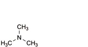 Acetylcholine Chloride