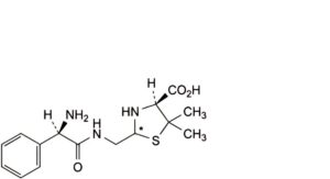Bacampicillin Hydrochloride
