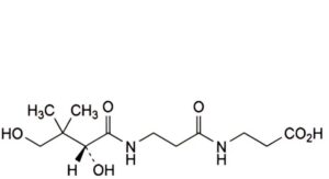 Calcium Pantothenate