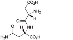 Asparagine Monohydrate