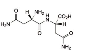 Asparagine Monohydrate