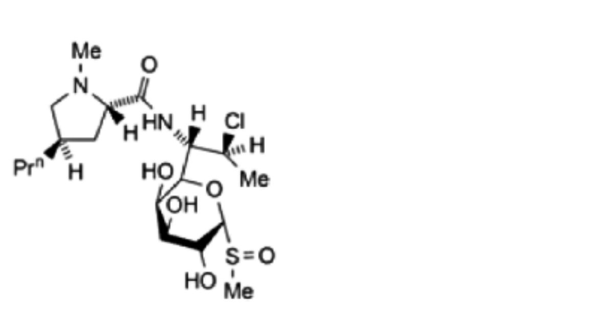 Benzoyl Peroxide and Clindamycin Gel