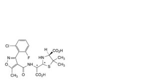 Flucloxacillin Sodium Monohydrate-1