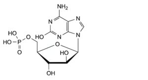 Fludarabine Phosphate-1