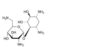 Framycetin Sulfate-1