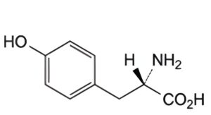 Histidine Hydrochloride Monohydrate-1