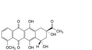 Daunorubicin Hydrochloride-1