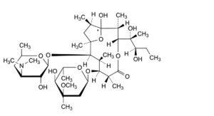 Erythromycin Estolate-10