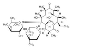 Erythromycin Stearate -10