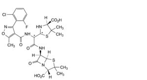Flucloxacillin Sodium Monohydrate-10