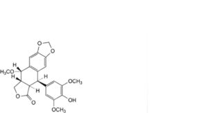 Etoposide 