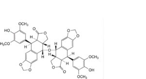 Etoposide 