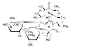 Erythromycin Stearate -12