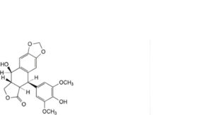Etoposide 