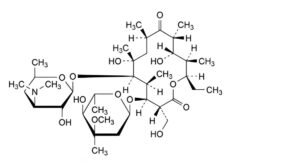 Erythromycin Estolate-13
