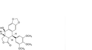 Etoposide 