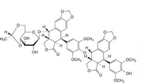 Etoposide 