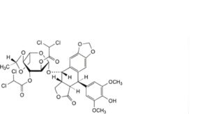 Etoposide 