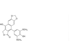 Etoposide 