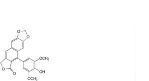 Etoposide 