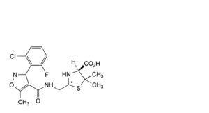 Flucloxacillin Sodium Monohydrate-2