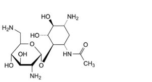 Framycetin Sulfate-2