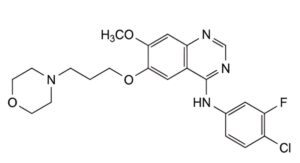 Gefitinib-2