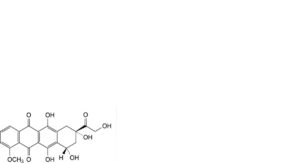 Epirubicin Hydrochloride