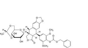 Etoposide 