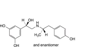 Fenoterol Hydrobromide 