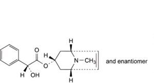 Homatropine Hydrobromide 