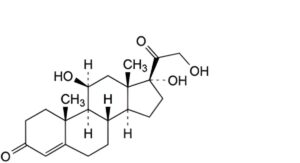 Hydrocortisone Hydrogen Succinate 
