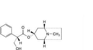 Hyoscine Hydrobromide 
