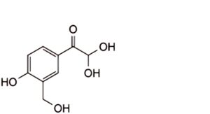 Salbutamol Injection