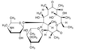 Erythromycin Estolate-2