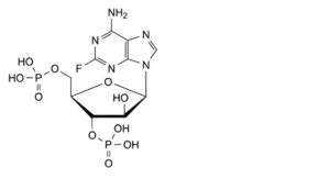 Fludarabine Phosphate-3