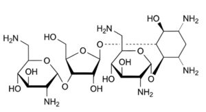 Framycetin Sulfate-3