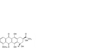 Epirubicin Hydrochloride