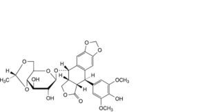 Etoposide 