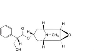Homatropine Hydrobromide 