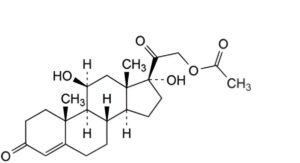 Hydrocortisone Hydrogen Succinate 