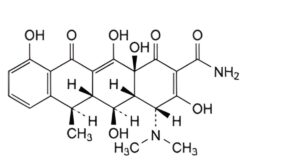 Doxycycline Monohydrate-3