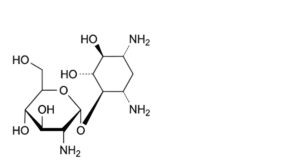 Framycetin Sulfate-4